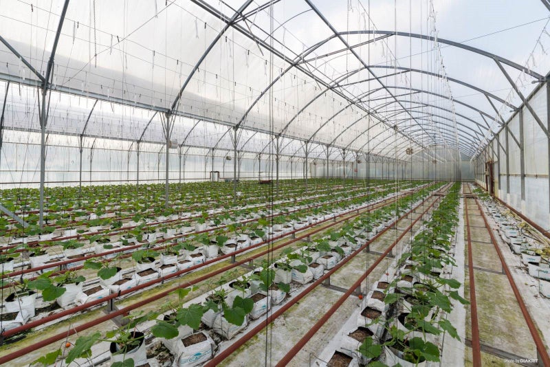 16 Irish Road, Mangatawhiri - Carousel 2