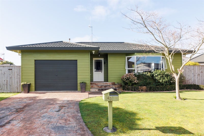 43 Dalfield Place, Highbury, Palmerston North - Carousel 1