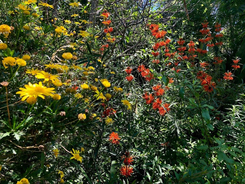 7/9 August Place, Greenlane, Auckland - Carousel 19