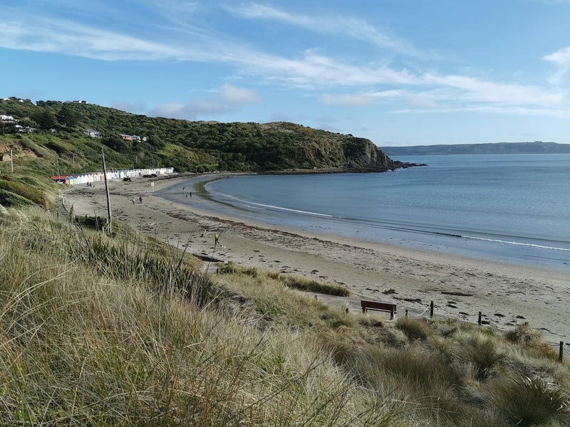 31 Matatiro Street, Titahi Bay, Porirua - Carousel 21