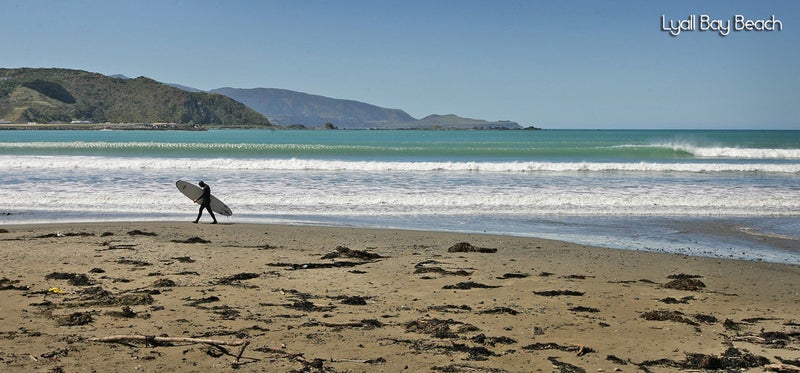 29 Rua Street, Lyall Bay, Wellington - Carousel 21