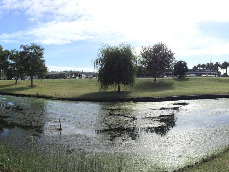 48 Georges Drive, Napier South, Napier - Carousel 22