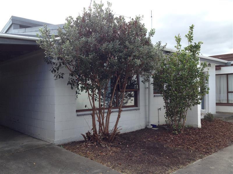 1/20 Cubitt Street, Blenheim, Blenheim - Carousel 1