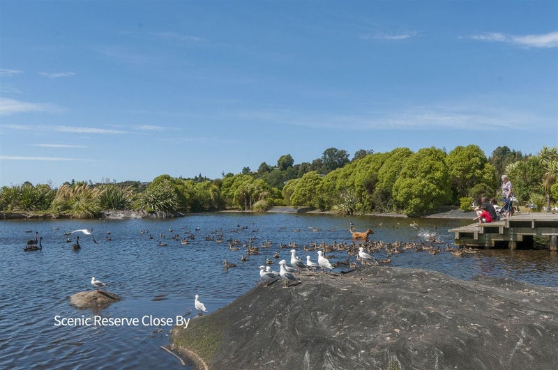 87 Hawkridge Heights, Bethlehem, Tauranga - Carousel 25