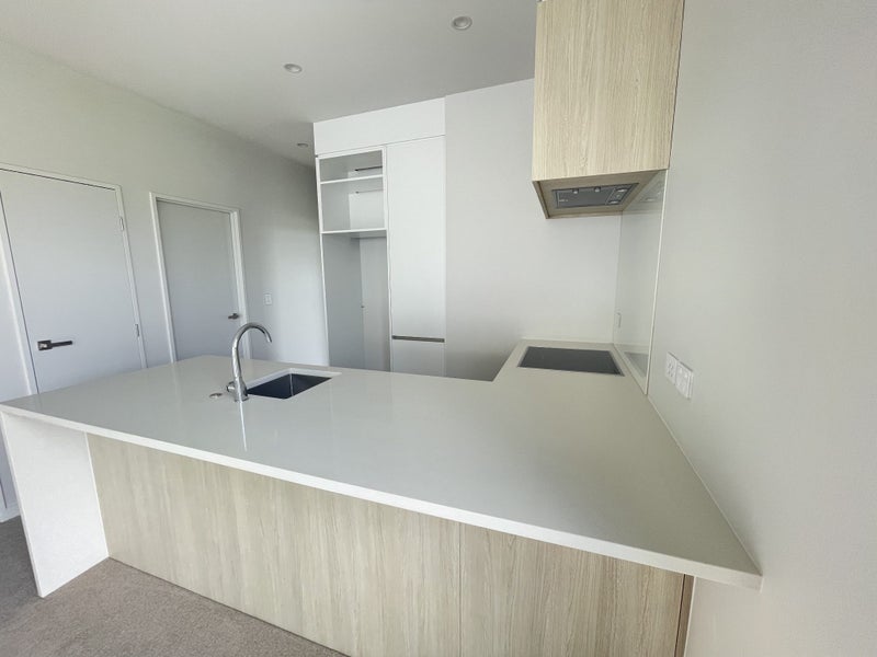 217/14 Edgerley Avenue, Newmarket, Auckland - Carousel 2