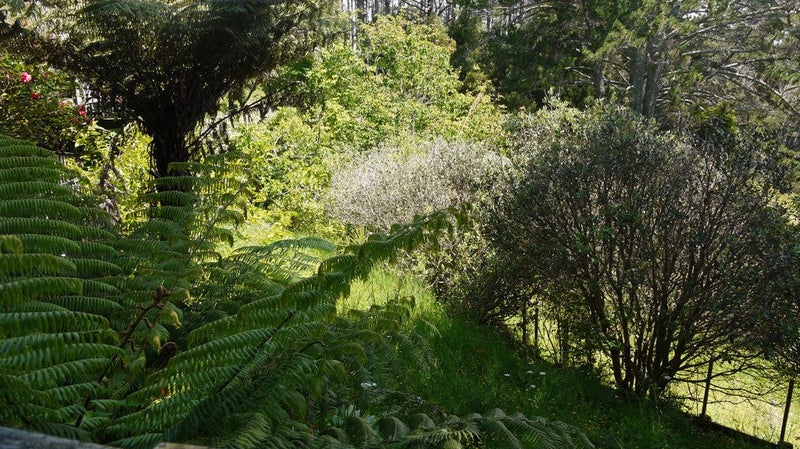 1008C East Coast Road, Fairview Heights, Auckland - Carousel 6