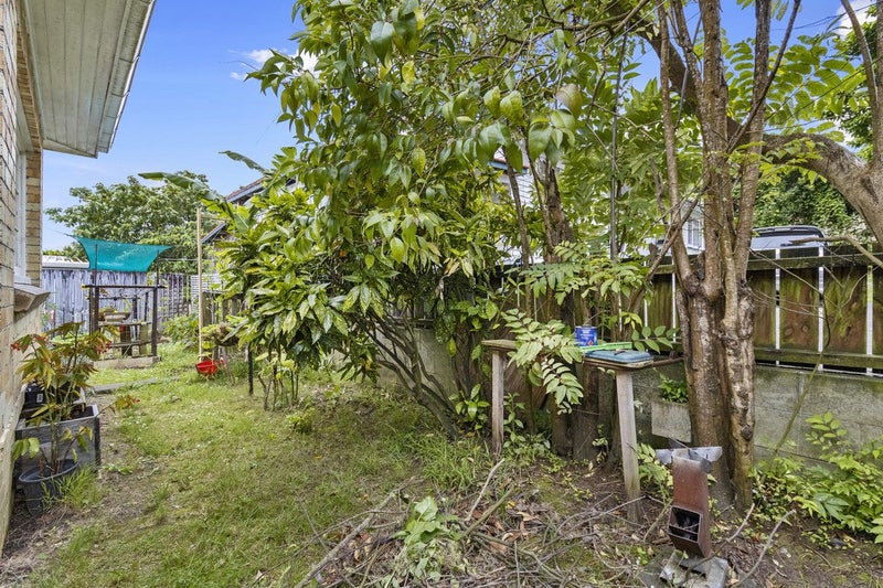 17 Carey Street, Maeroa, Hamilton - Carousel 18