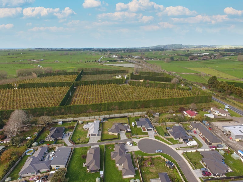 27 Penelope Place, Te Puke - Carousel 26