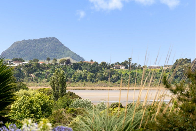 56 Sutherland Road, Brookfield, Tauranga - Carousel 2