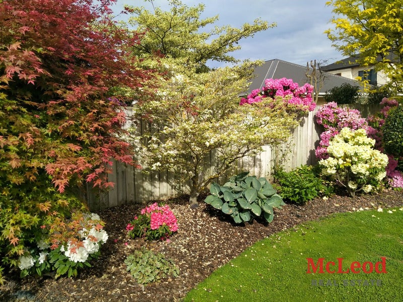 10 Westcott Place, Allenton, Ashburton - Carousel 33