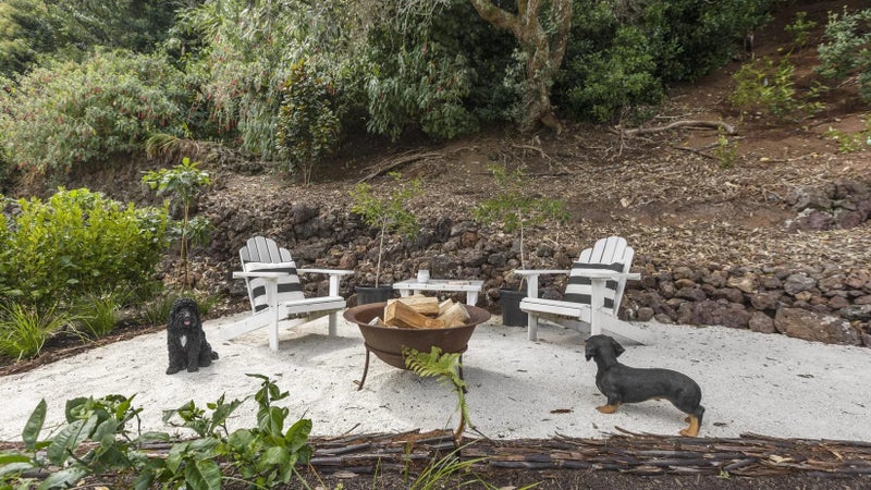 20 Rautangi Road, Mount Eden, Auckland - Carousel 9