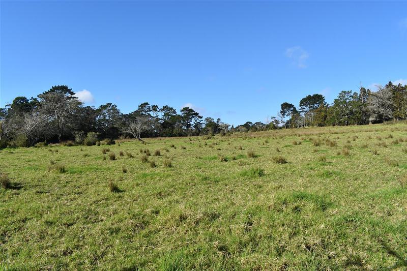 6 Coulter Road, Swanson, Auckland - Carousel 2