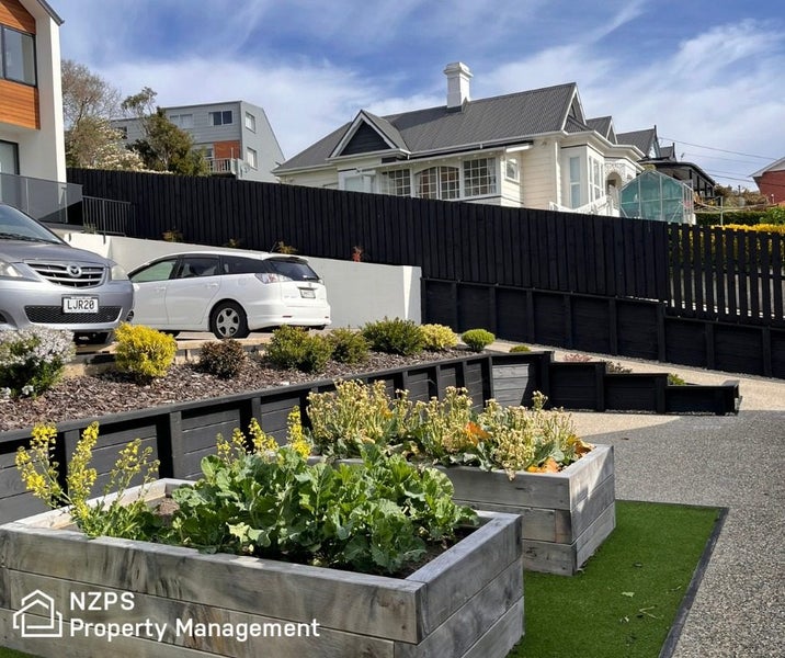 45B Ann Street, Kaikorai, Dunedin - Carousel 23