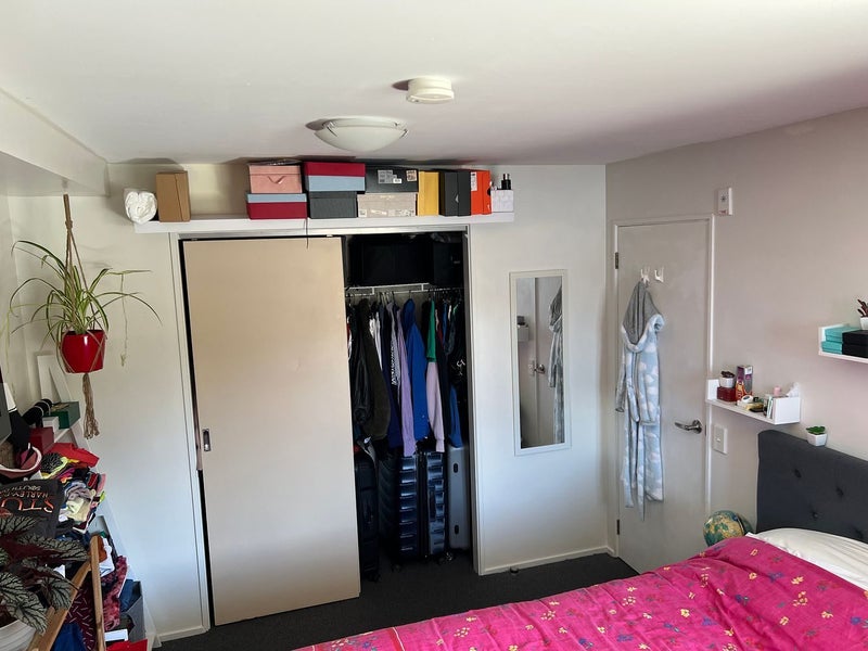 B18/13 Palm Grove, Berhampore, Wellington - Carousel 9