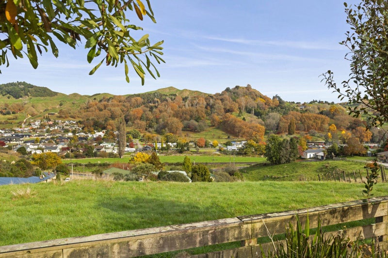 26 Tammadge Street, Te Kuiti - Carousel 25