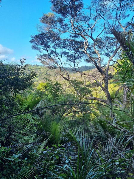 305 Wairere Road, Waitākere, Auckland - Carousel 10