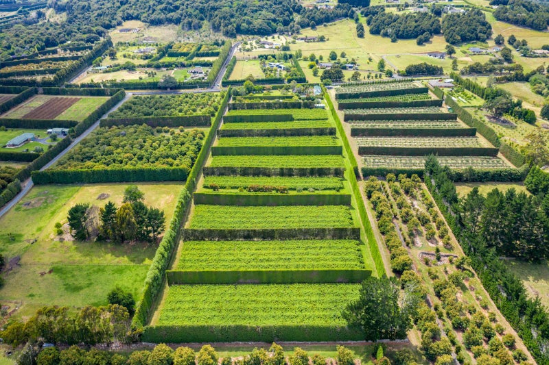 0 Snooks Road, Maungatapere, Whangarei - Carousel 1