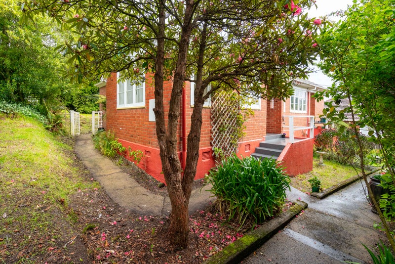 146 Rolla Street, Normanby, Dunedin - Carousel 17