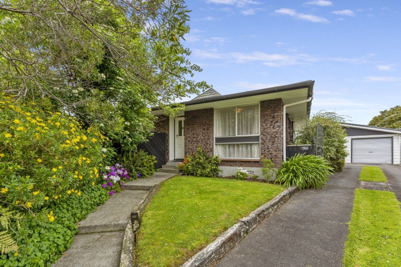 45 Havelock Avenue, Westbrook, Palmerston North - Carousel 2