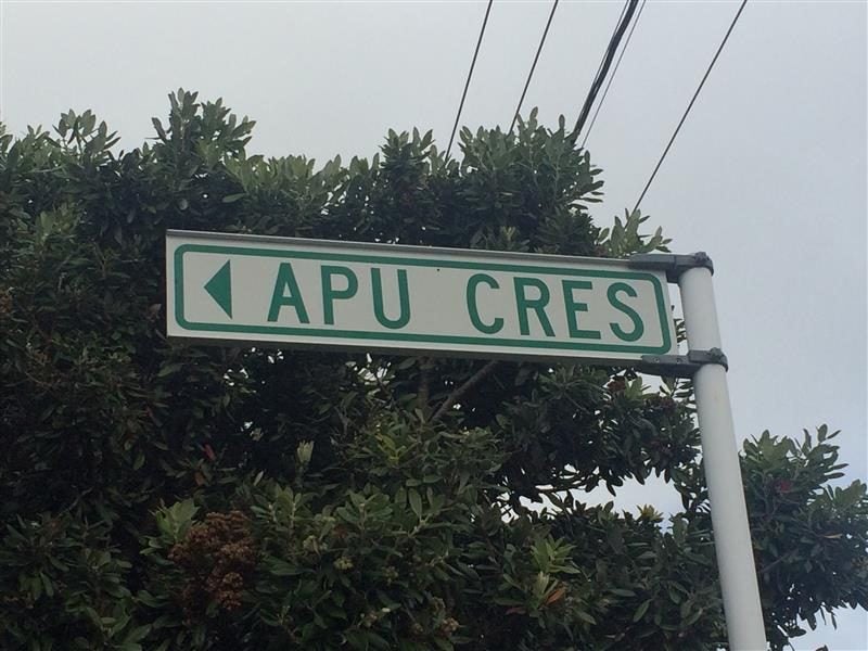 42B Apu Crescent, Lyall Bay, Wellington - Carousel 13