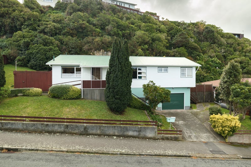 5 Halifax Street, Kingston, Wellington - Carousel 18