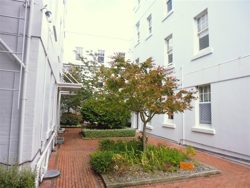 24/3 Aro Street, Aro Valley, Wellington - Carousel 1