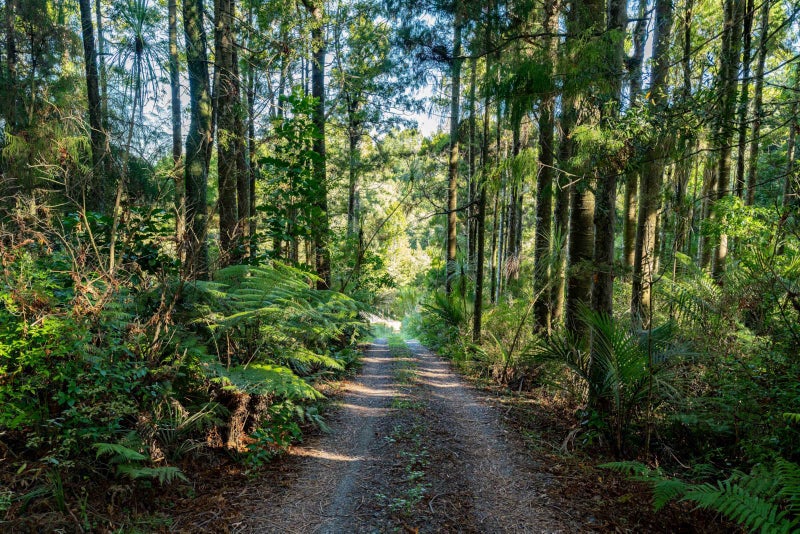 227 School Road, Te Arai, Wellsford - Carousel 1
