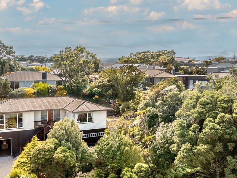 16 Griffiths Grove, Newlands, Wellington - Carousel 28