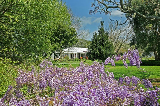 293 Point Wells Road, Warkworth - Carousel 1