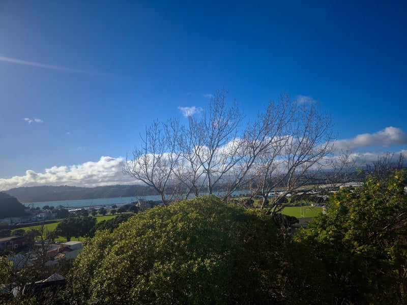 7 Crawford Road, Kilbirnie, Wellington - Carousel 2