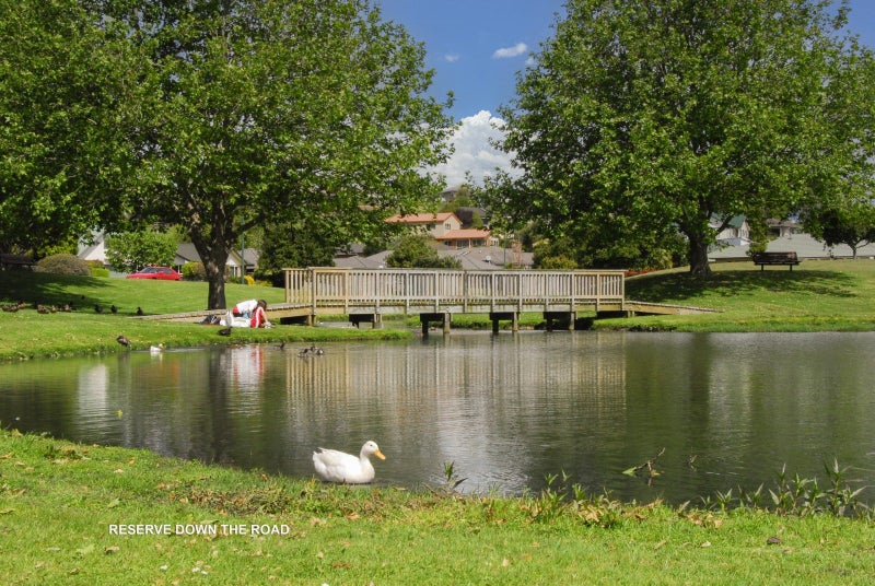 16 Edwin Grove, Bethlehem, Tauranga - Carousel 23