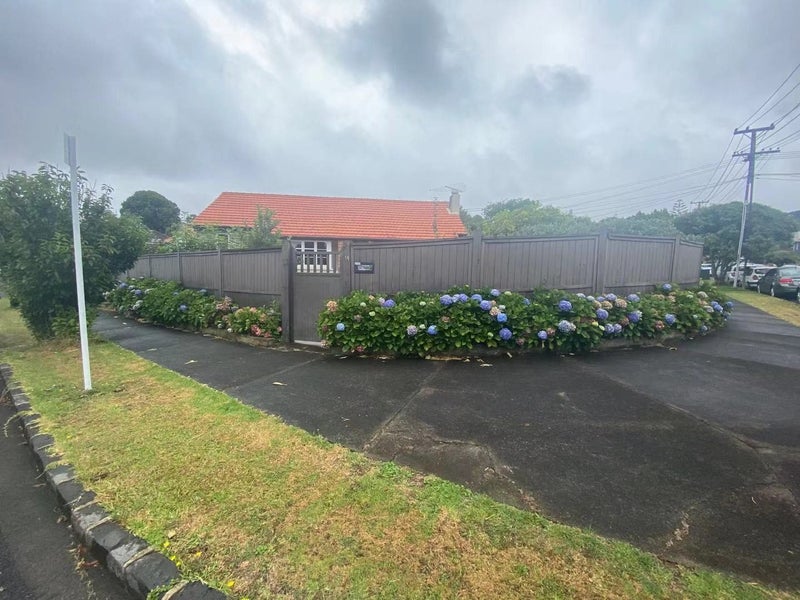 14 Konini Road, Greenlane, Auckland - Carousel 18