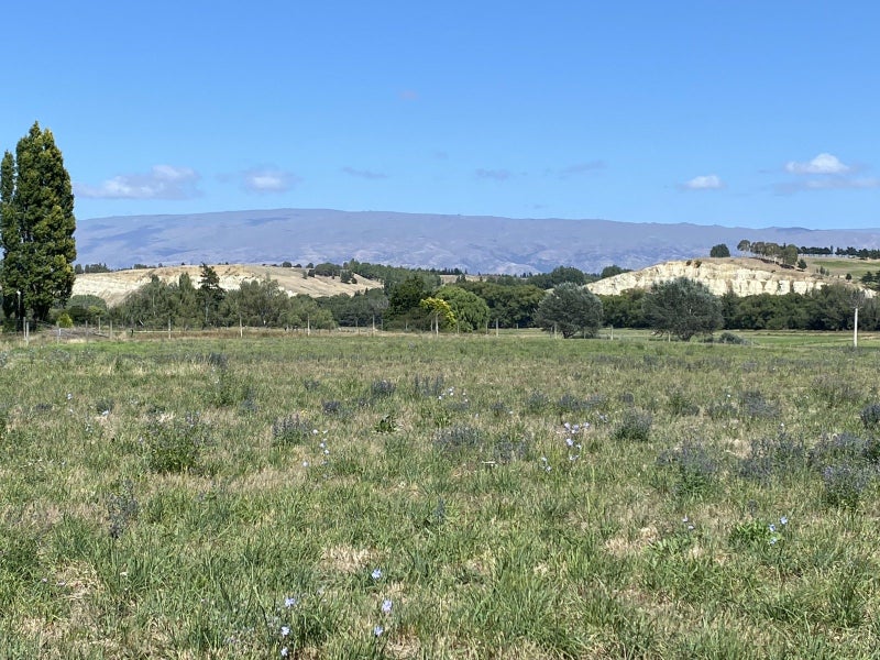 175 Fisher Lane, Galloway, Alexandra - Carousel 23