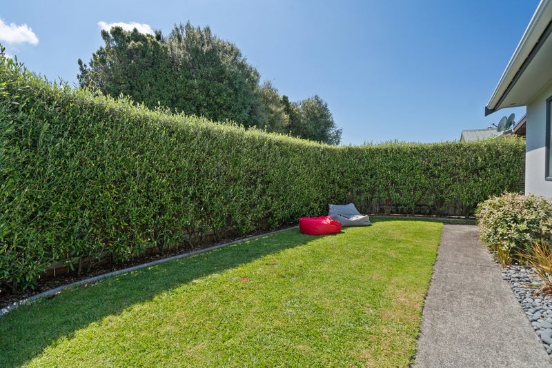 45 Solomon Street, Brookfield, Tauranga - Carousel 2