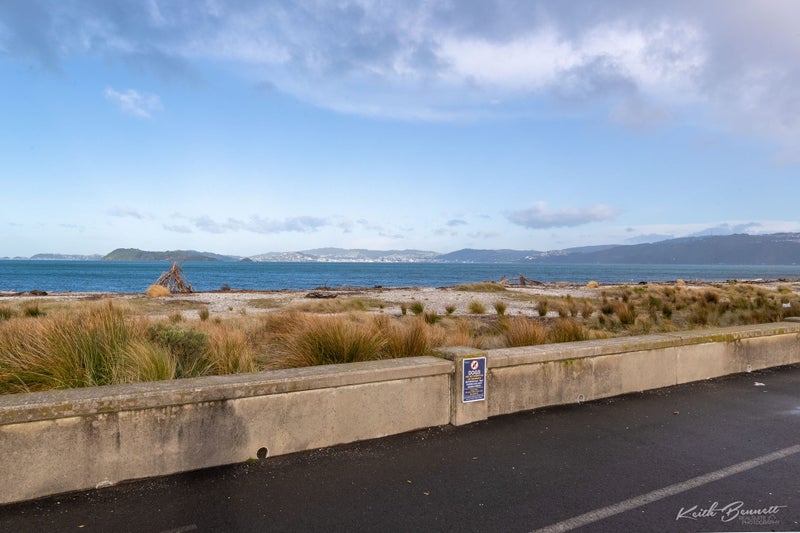 6 Jessie Street, Petone, Lower Hutt - Carousel 11