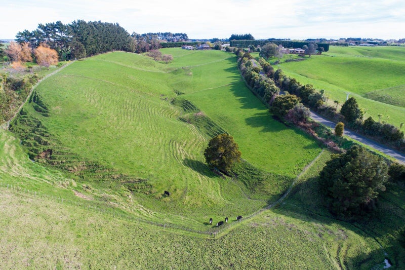 695 Sandon Road, Halcombe, Feilding - Carousel 26