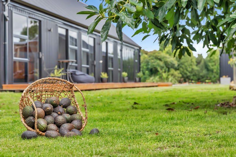 9 Corsair Drive, Whangarei - Carousel 2