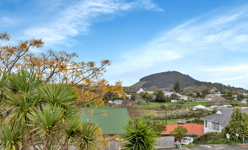 31 Ridgeway Drive, Kamo, Whangarei - Carousel 22