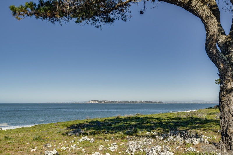 5 Anthony Place, Bay View, Napier - Carousel 23