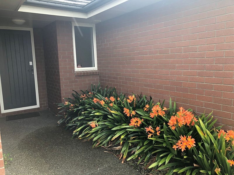 32 Chalgrove Road, Huntington, Hamilton - Carousel 23