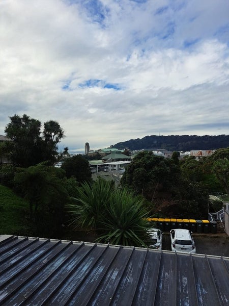 28V Bidwill Street, Mount Cook, Wellington - Carousel 6