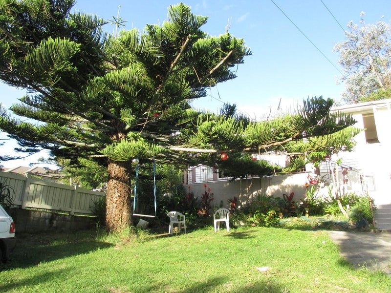 78 Whitney Street, New Windsor, Auckland - Carousel 1