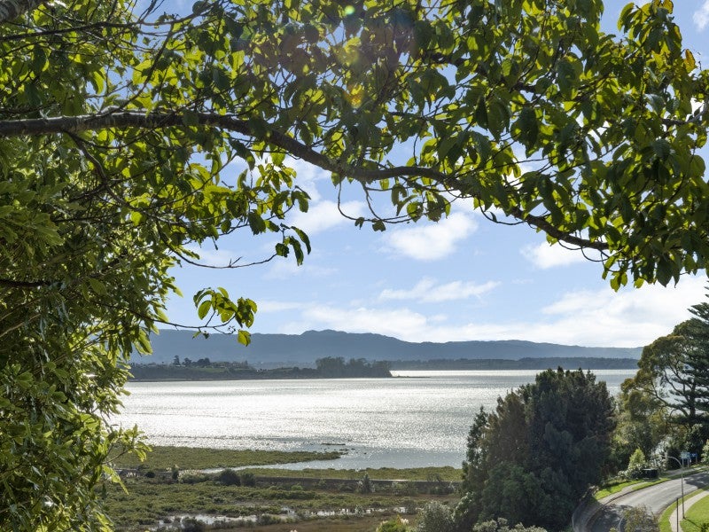 82 Anne Road, Bellevue, Tauranga - Carousel 9