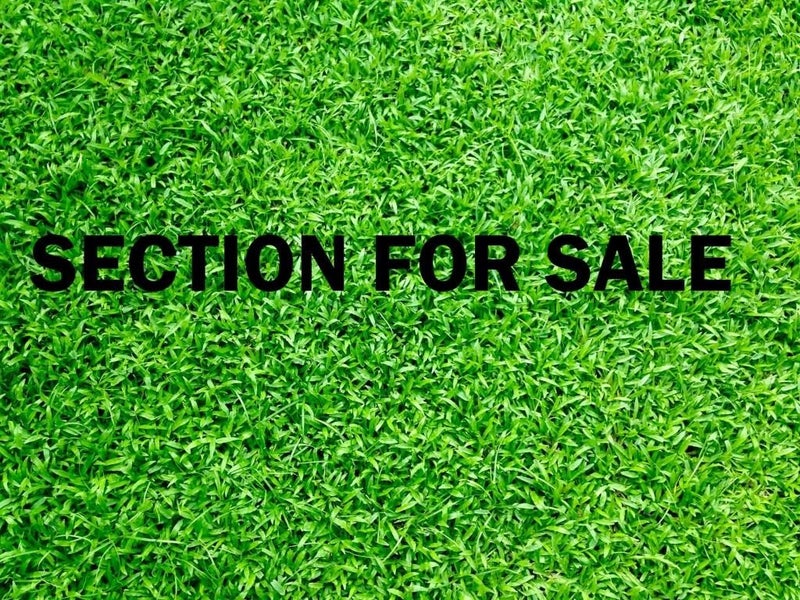 125 The Avenue, Lucas Heights, Auckland - Carousel 1