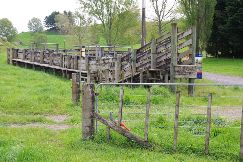 431 Arataki Road, Whakamaru - Carousel 43