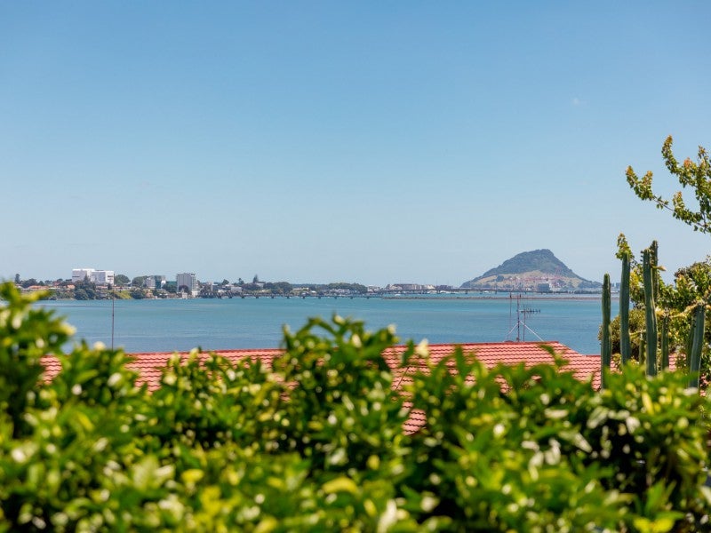 346A Maungatapu Road, Maungatapu, Tauranga - Carousel 2