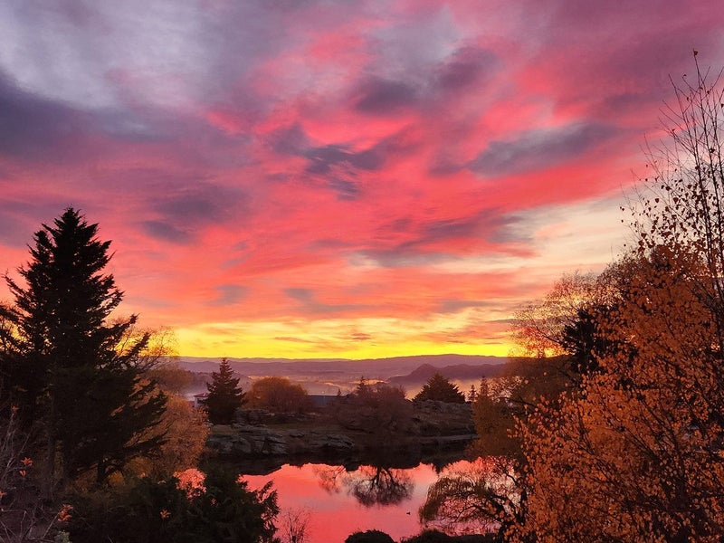 15 Lanes Road, Bridge Hill, Alexandra - Carousel 2