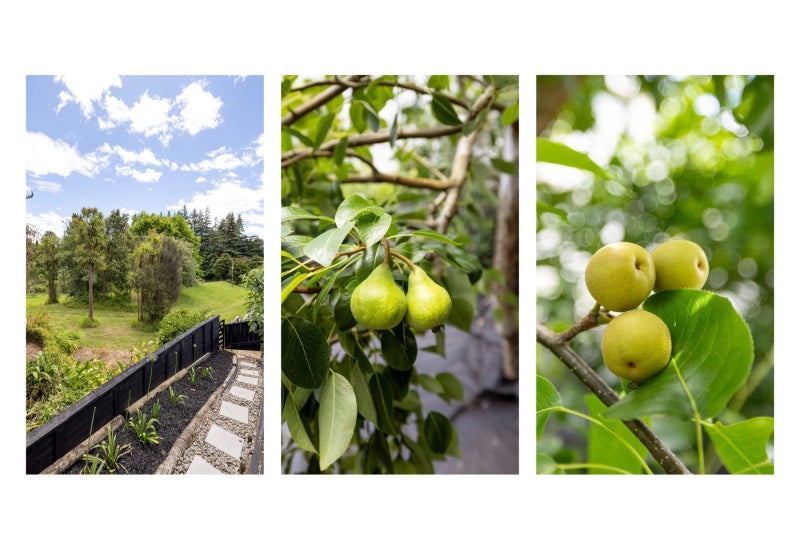 39 Kinloch Drive, Bethlehem, Tauranga - Carousel 20