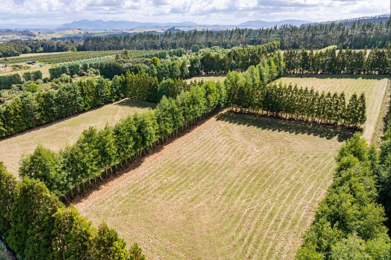 176 Whatitiri Road, Maungatapere, Whangārei - Carousel 2
