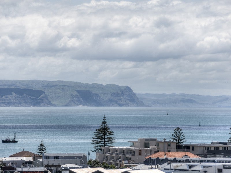 11A Hospital Lane, Hospital Hill, Napier - Carousel 26